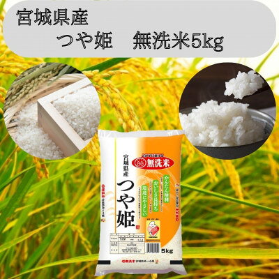令和7年産 宮城県産【つや姫】無洗米5kg【1409674】