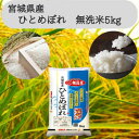 【ふるさと納税】【令和6年産】宮城県産 ひとめぼれ無洗米5kg【1452005】