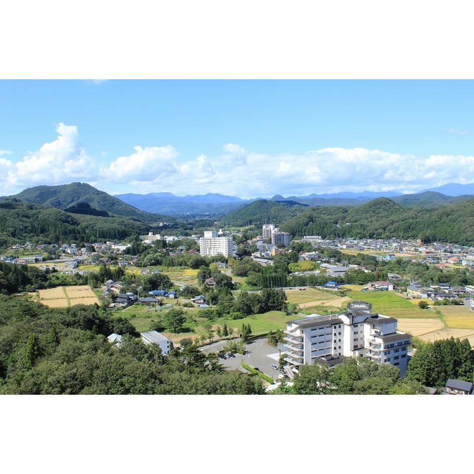 【ふるさと納税】秋保温泉旅館組合宿泊券A　【旅行・宿泊券】