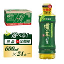 【ふるさと納税】伊藤園 おーいお茶 濃い茶 600ml×24本/2L×6本/定期便あり【お~いお茶 ケース ソフトドリンク まとめ買い 常備 備蓄 機能性表示食品】