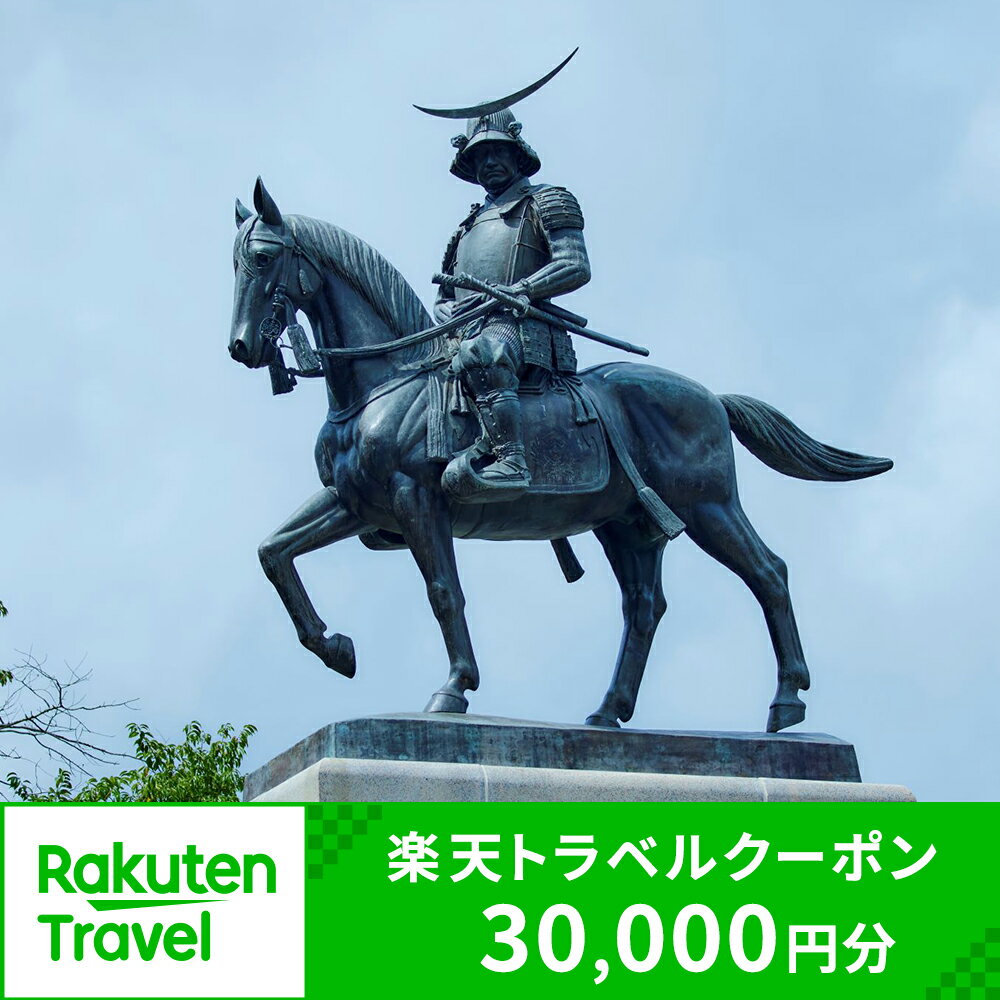 【ふるさと納税】宮城県仙台市の対象施設で使える 楽天トラベルクーポン 寄付額100,000円 (クーポン 30,000円分)　【高級宿・宿泊券・旅行】