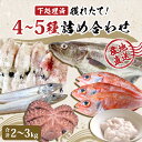 【ふるさと納税】鮮魚 詰め合わせ セット 2~3kg(4~5種)冷蔵 新鮮 下処理済み 漁師直送! 宮城県産 国産 鮮魚 内臓処理済 お楽しみ 鮮魚ボックス 詰合せ 魚 食べ比べ お魚 とれたて 美味しい 海鮮 魚介 刺身 焼き魚 煮付け フライ レシピ付 宮城県 石巻市 山神丸 送料無料