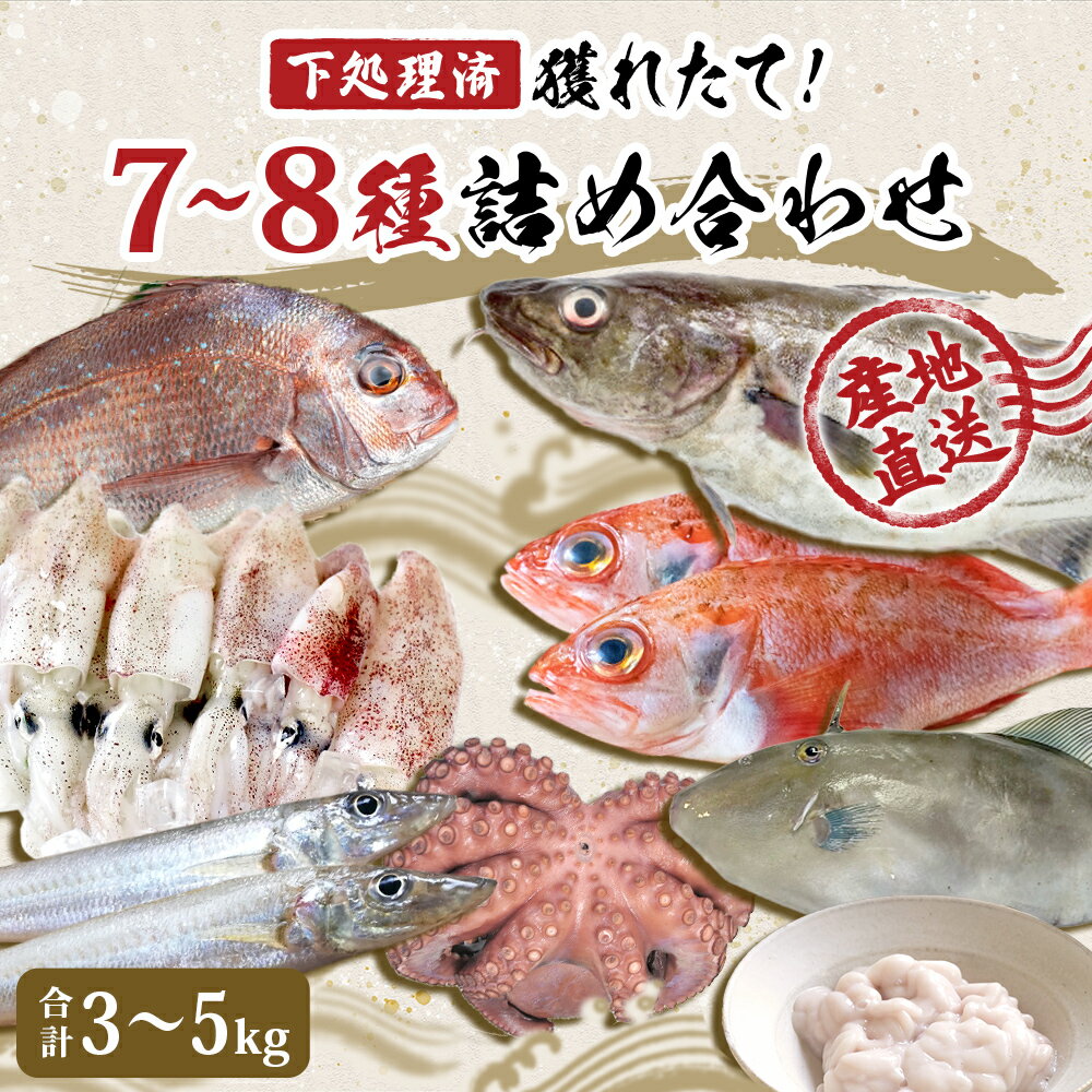 鮮魚 宮城県産 漁師直送! 鮮魚詰め合わせ 3〜5kg(7〜8種) 下処理済み お楽しみ 鮮魚ボックス 宮城県 石巻市 山神丸 送料無料