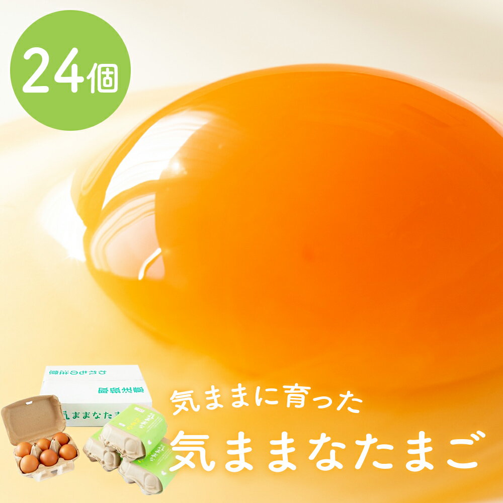 【ふるさと納税】卵 宮城県産 生卵 「気ままなたまご」24個 新鮮 赤玉 朝食 昼食 夕食 健康 平飼い養鶏 玉子 宮城県 石巻市のサムネイル
