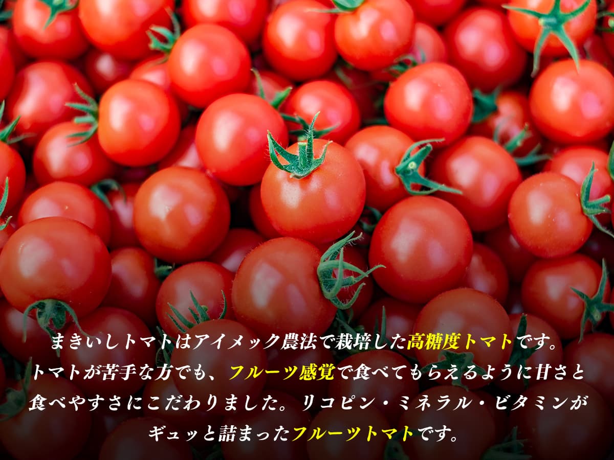 【ふるさと納税】トマト 宮城県産 フルーツトマト まきいしトマト 1kg 糖度8度以上 アイメック農法栽培 宮城県 石巻市 エヌファーム