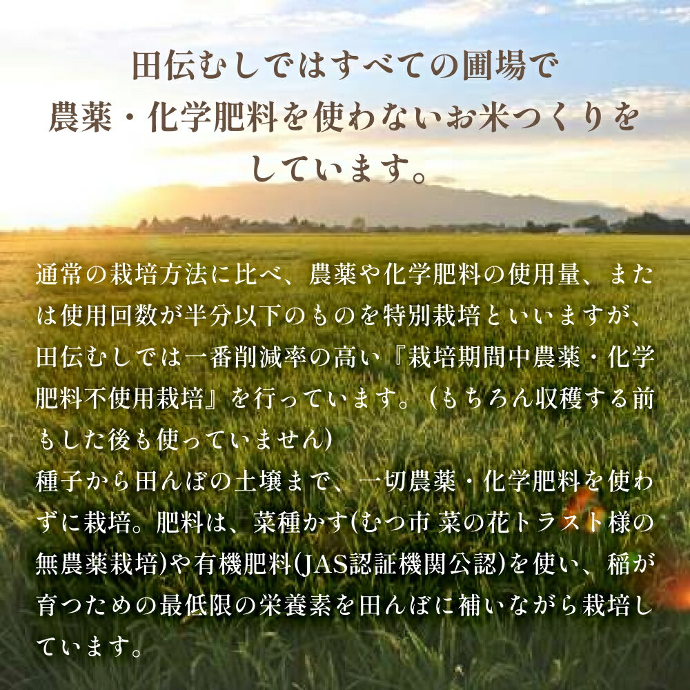 【ふるさと納税】 令和7年産 新米 定期便 全3回 ササニシキ 特別栽培米 合計9kg〜30kg 小分け 3kg 5kg 10kg 選べる 白米 玄米 お米 精米 ささにしき 家庭用 栽培期間中 農薬不使用 化学肥料不使用 宮城 石巻 宮城県 石巻市