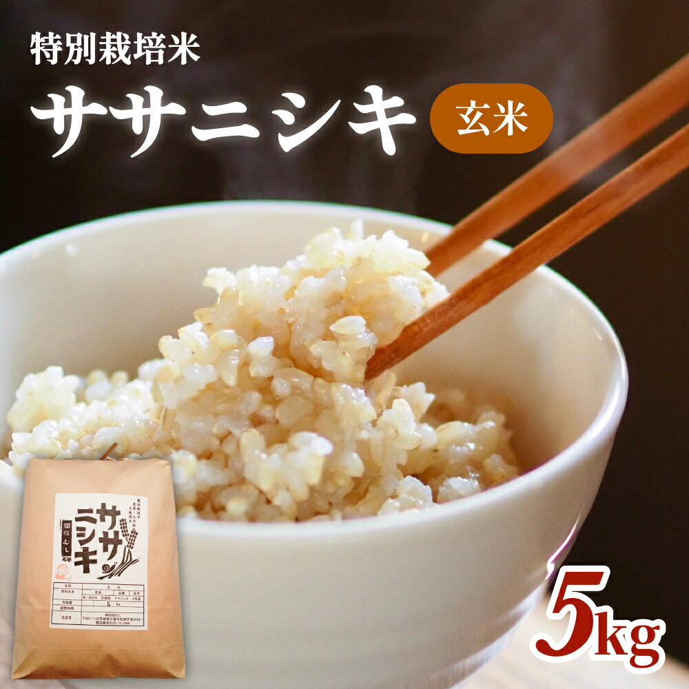 【ふるさと納税】 令和5年産特別栽培米 ササニシキ 玄米 5kg
