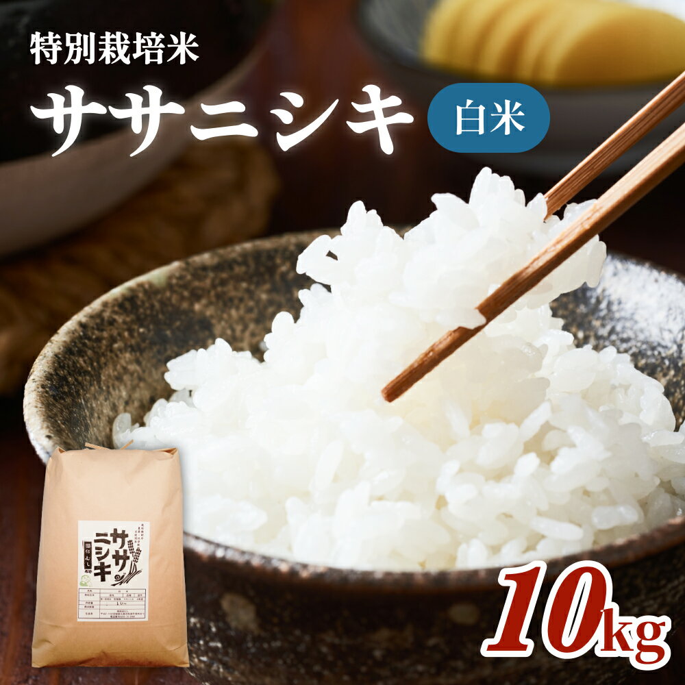 【ふるさと納税】 特別栽培米 ササニシキ 白米 10kg