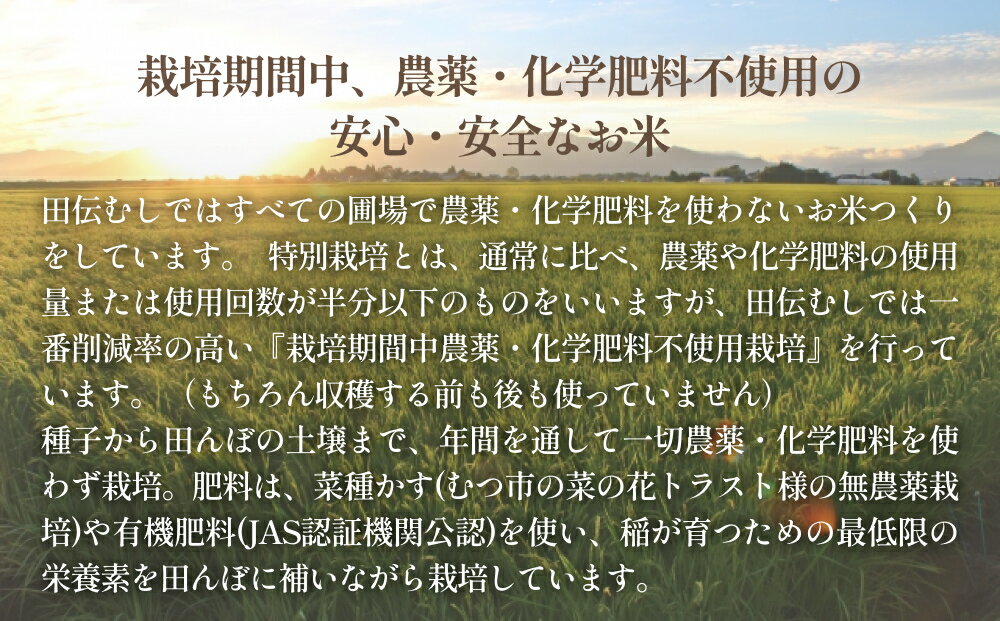 【ふるさと納税】 令和5年産特別栽培米 ササニシキ 玄米 10kg