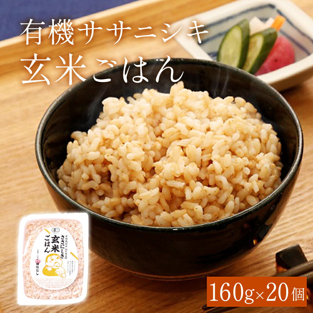 【ふるさと納税】ご飯パック 宮城県産 有機ササニシキ 玄米 