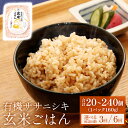 【ふるさと納税】<定期便> ご飯パック 玄米 有機ササニシキ ごはん 160g × 20個 or 40個 配送回数が選べる 3回 6回 毎月 定期 宮城県産 レ...