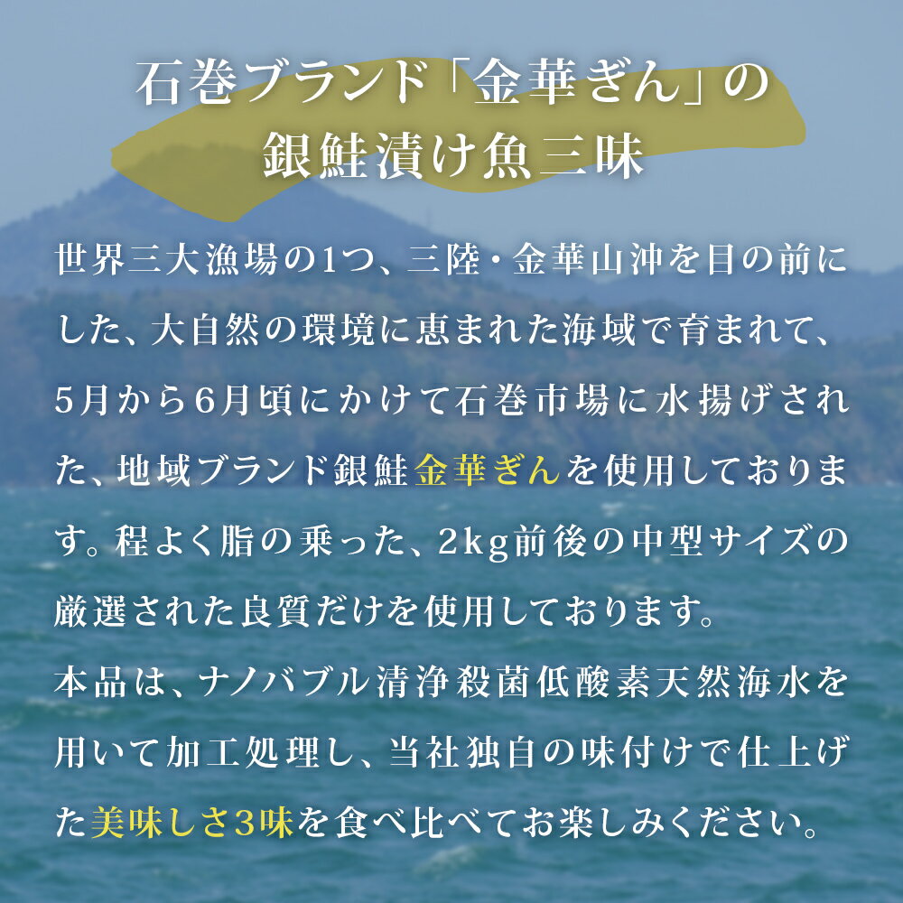 【ふるさと納税】石巻ブランド「金華ぎん」の銀鮭漬け魚美味しさ三昧 鮭 サーモン 銀鮭 和食 国産 宮城県