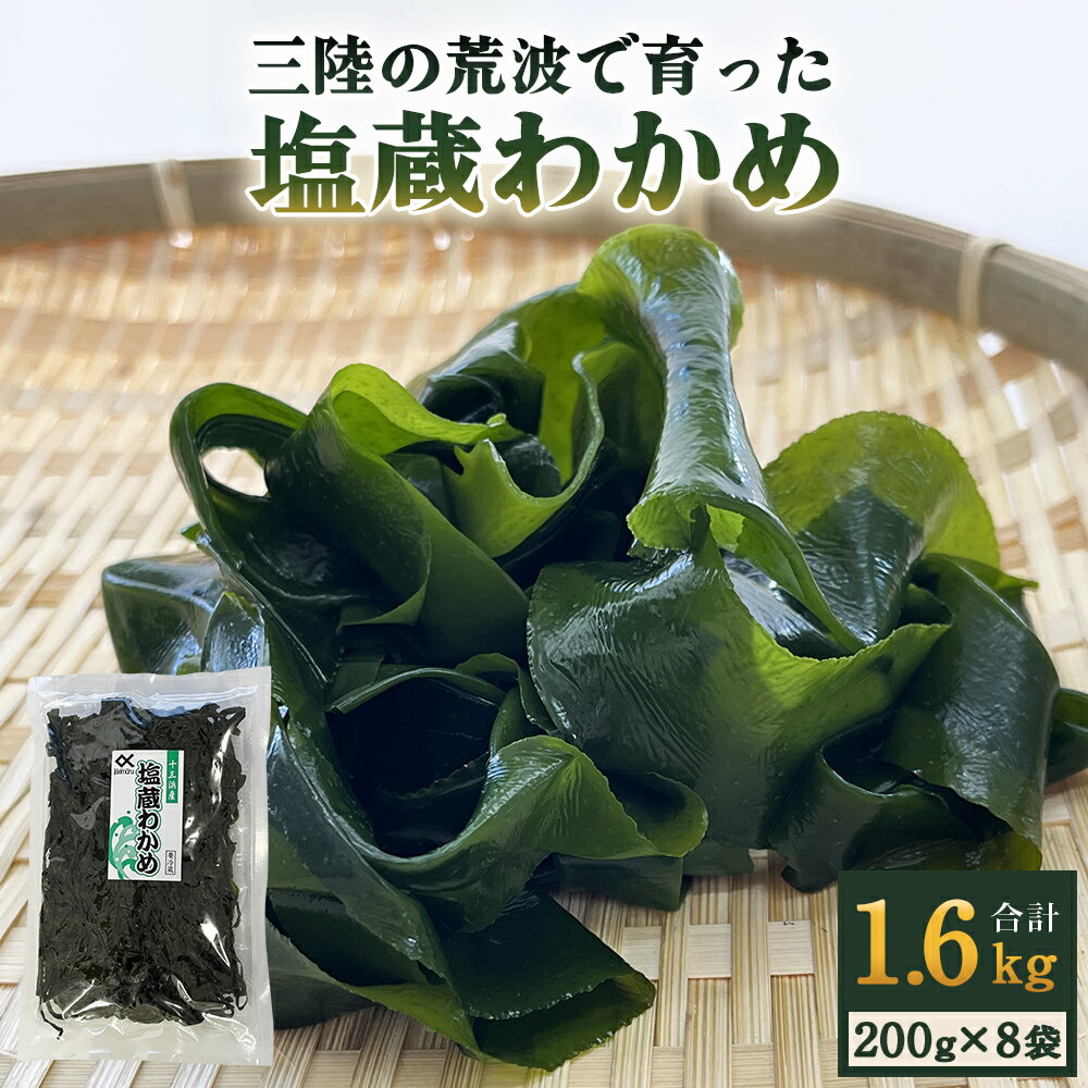 塩蔵わかめ 200g×8袋 1.6kg 三陸 十三浜産 ワカメ 石巻市