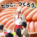 【ふるさと納税】<体験型>食育イベント「たらこ、つくろう」参加券 宮城県 石巻市 愛情たらこのみなと