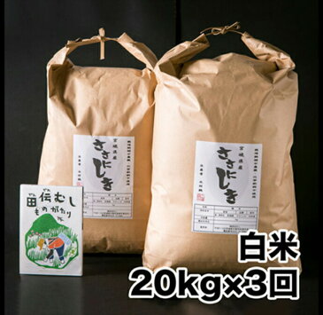 【ふるさと納税】田伝むしのササニシキ白米20kgx3回配達セット(農薬:栽培期間中不使用)
