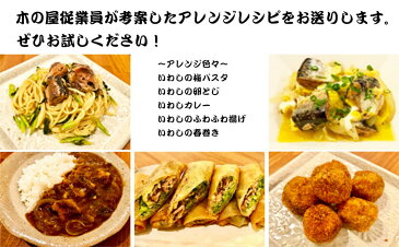 【ふるさと納税】木の屋　いわし缶詰食べ比べセット