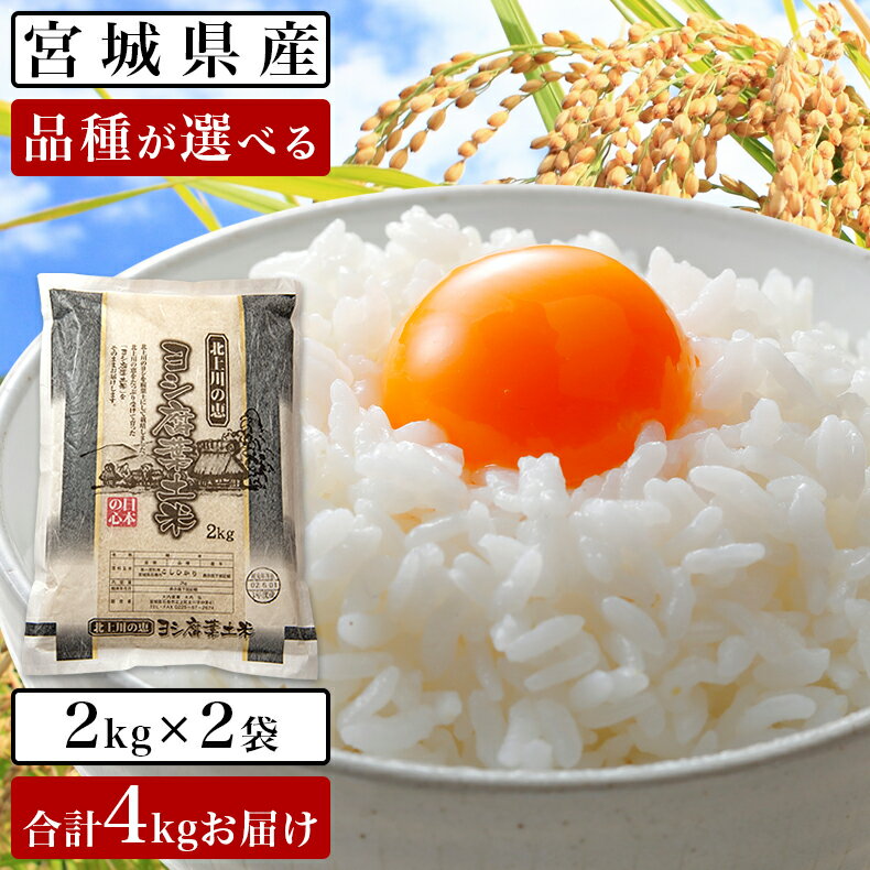 【ふるさと納税】 令和5年産 ヨシ腐葉土米 精米4kg（2k