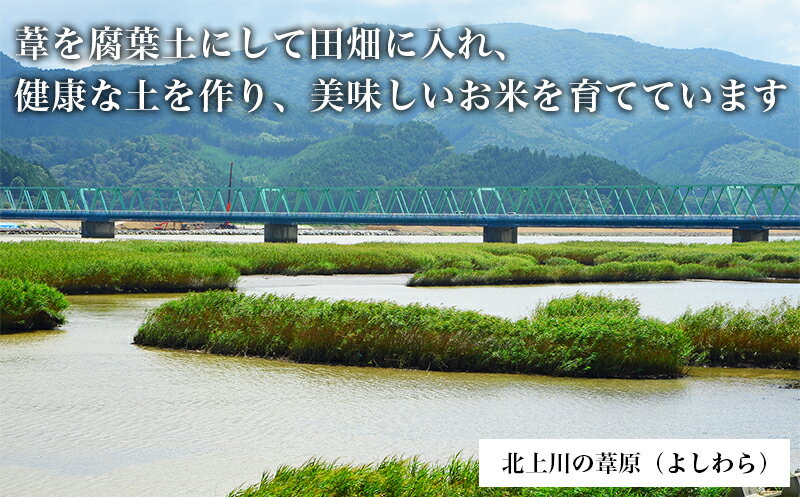 【ふるさと納税】 令和5年産 ヨシ腐葉土米 特別栽培米 節減対象農薬の栽培期間不使用（精米5kg） ササニシキ/ひとめぼれ/つや姫/コシヒカリ 品種が選べる 3