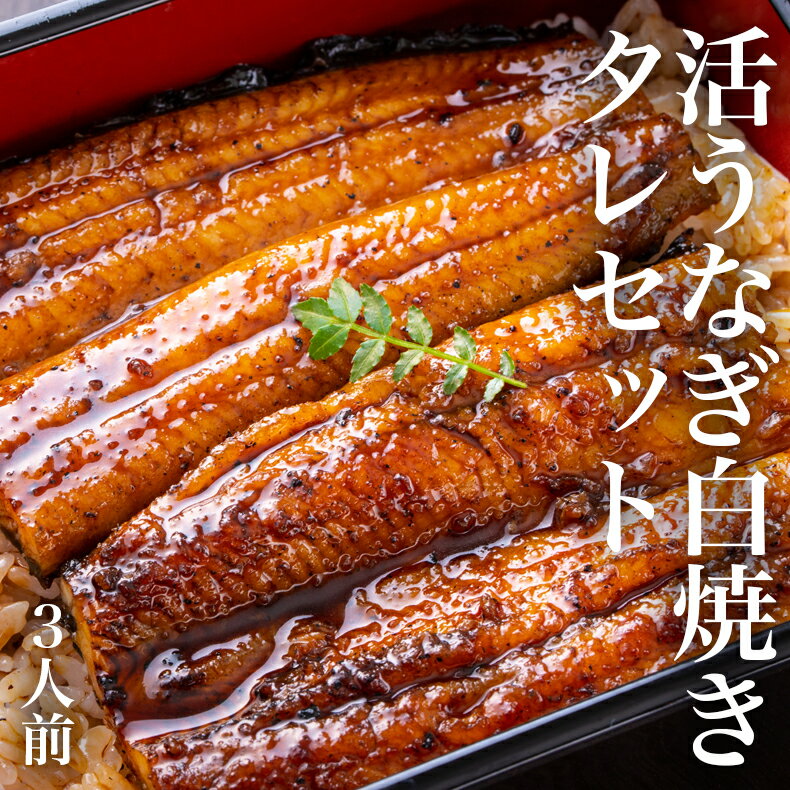 鰻 国産うなぎ 白焼き 3串（約110g×3）タレ付き 冷蔵 土用丑の日 国産 白焼き 蒲焼き 鰻重 鰻丼 宮城県 石巻市