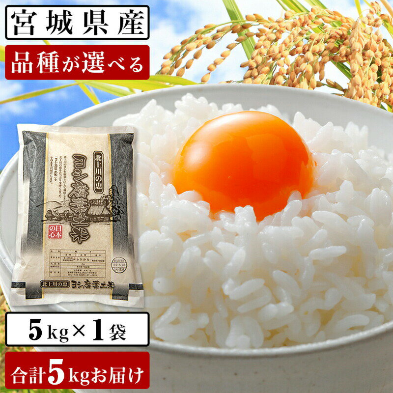 【ふるさと納税】 令和5年産 ヨシ腐葉土米 精米5kg ササニシキ/ひとめぼれ/つや姫/コシヒカリ 品種が選べる