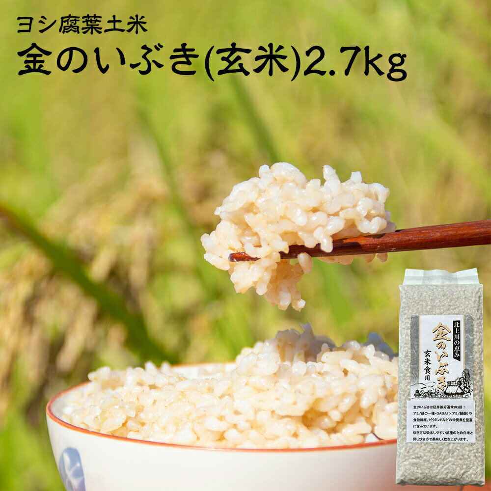 【ふるさと納税】新米 令和4年産 玄米 宮城県産 ヨシ腐葉土米 金のいぶき 2.7kg(900g×3) 真空パック 小分け 宮城県 石巻市