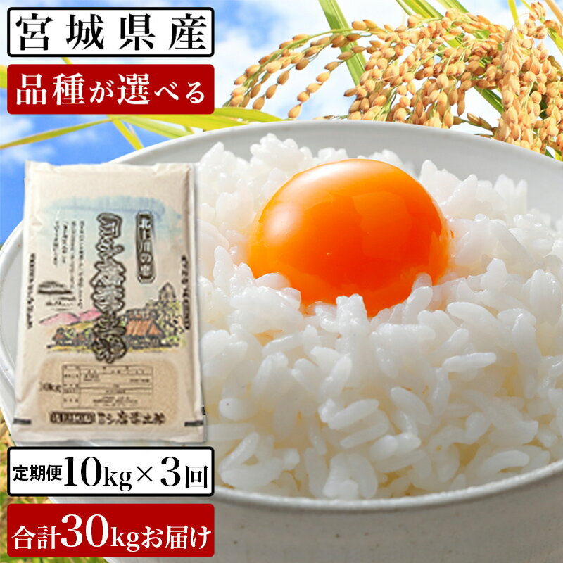 【ふるさと納税】 令和5年産＜定期便3回＞ヨシ腐葉土米 30kg【毎月10kgを3回に渡りお届け】ササニシキ...