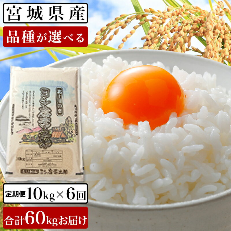 【ふるさと納税】【新米予約】 令和6年産＜定期便6回＞ヨシ腐葉土米 60kg【毎月10kgを6回に渡りお届け】ササニシキ ひとめぼれ つや姫 コシヒカリ 品種が選べる 宮城県 石巻市のサムネイル