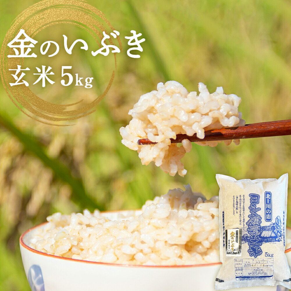 43位! 口コミ数「2件」評価「5」 令和5年産 金のいぶき 玄米 5kg 宮城県産 ヨシ腐葉土米 宮城県 石巻市