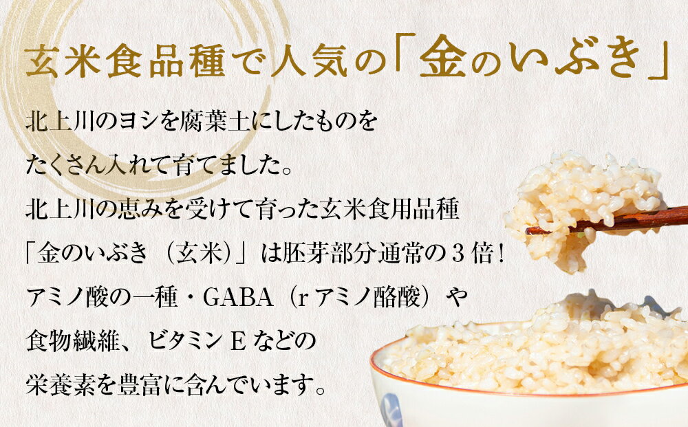 玄米食用品種で人気の『金のいぶき』は胚芽3倍！GABA、食物繊維、ビタミンEも豊富！白米と同じ炊き方で、プチプチ食感とやみつきになる美味しさです！　【ふるさと納税】 米 令和7年産 金のいぶき 玄米 5kg 宮城県産 お米 国産 ヨシ腐葉土米 コメ 5キロ 少量 小分け 家庭用 ご飯 げんまい ご当地米 おにぎり ごはん 美味しい 主食 栄養豊富 健康食品 食物繊維 ビタミン ヘルシー 送料無料 お取り寄せ 宮城県 石巻 石巻市