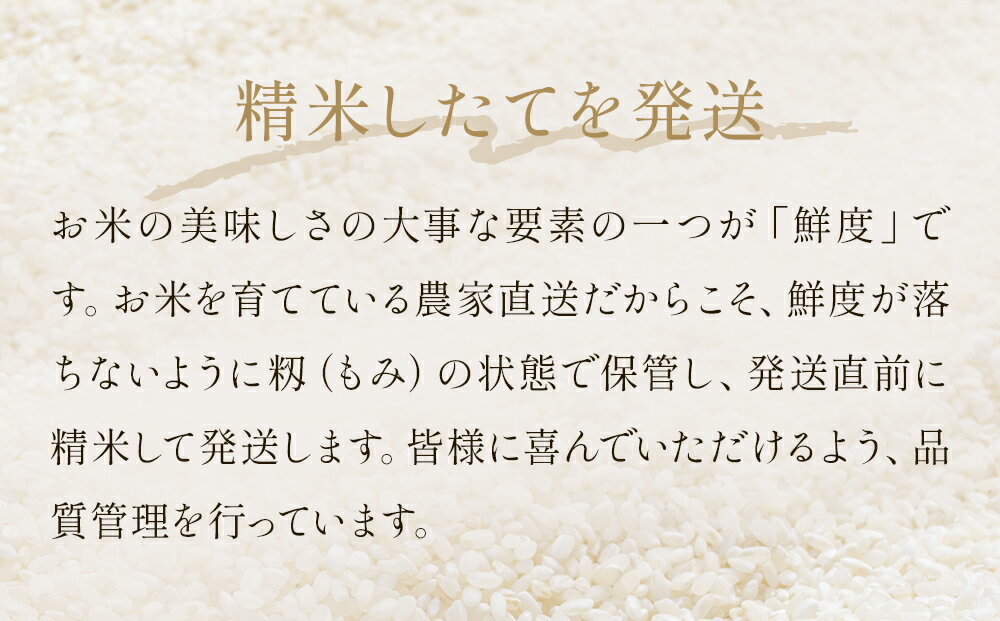 【ふるさと納税】新米 令和7年産 ササニシキ 精米 5kg - 30kg 単品 or 定期便 米 こめ コメ お米 ご飯 白米 ささにしき ご飯 白米 ささにしき 定期便 3回 6回