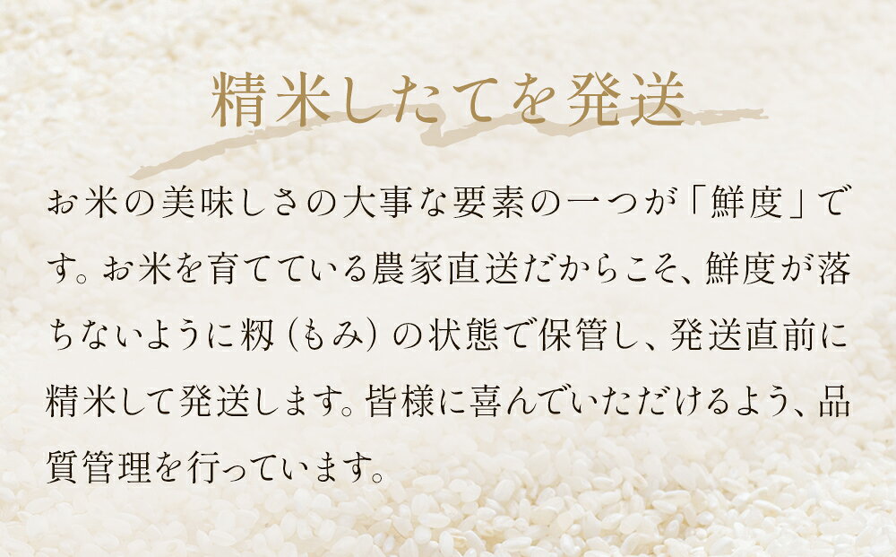 【ふるさと納税】新米 令和7年産 つや姫 精米 5kg - 30kg 単品 or 定期便 米 こめ コメ お米 ご飯 白米 ツヤ姫 ご飯 白米 つやひめ 定期便 3回 6回