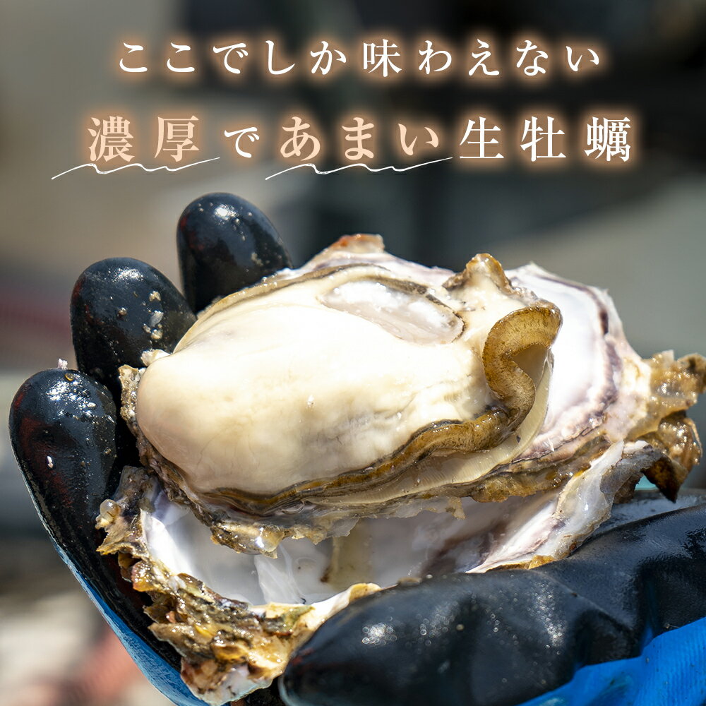 【ふるさと納税】冷凍殻付き牡蠣　21個