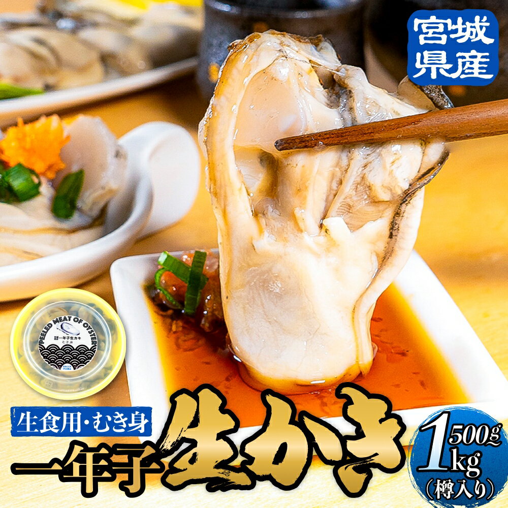 宮城県産 生食用牡蠣 一年子生カキ むき身 500g - 1kg かき カキ 剥き身 生牡蠣 プリプリ 濃厚