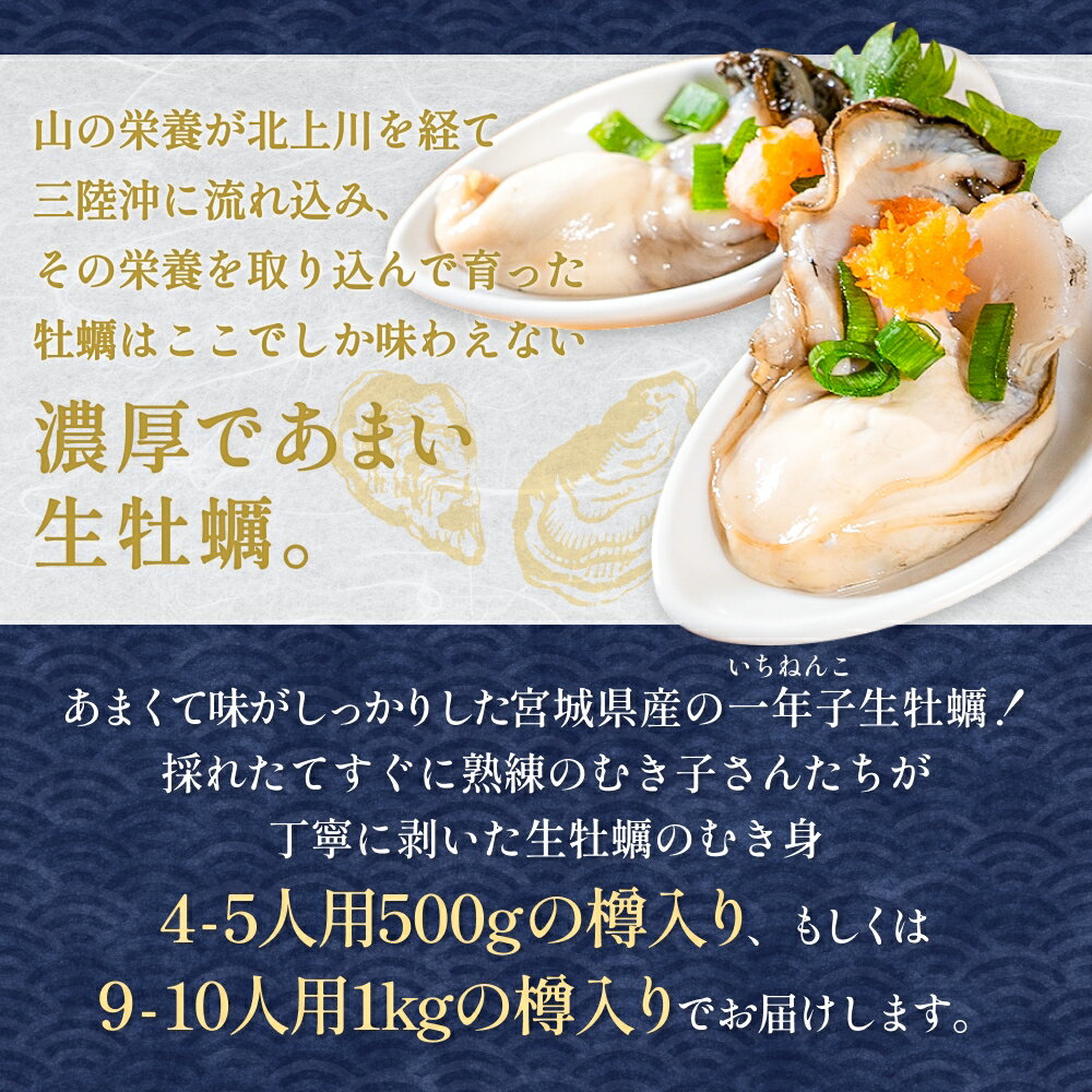 【ふるさと納税】宮城県産 生食用牡蠣 一年子生カキ むき身 500g - 1kg かき カキ 剥き身 生牡蠣 プリプリ 濃厚