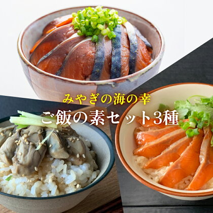 みやぎの海の幸 ごはんの素3種セット 金華さば みやぎサーモン 漬け丼 カンタン調理 牡蠣 炊き込み 混ぜ込み 宮城 石巻 本田水産