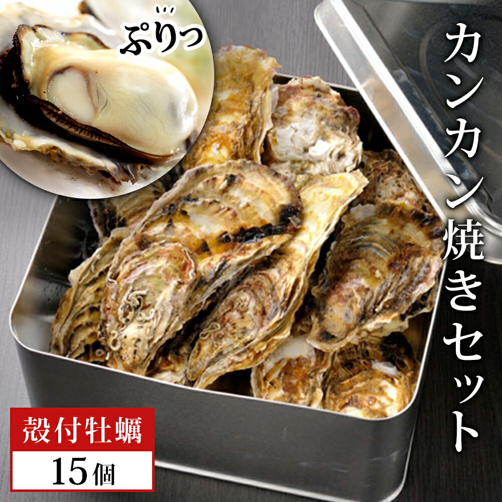 【ふるさと納税】牡蠣 宮城県産 漁師の 牡蠣カンカン焼きセット（牡蠣15個）生牡蠣 殻付き牡蠣 蒸し牡蠣 焼き牡蠣 牡蠣小屋 三陸 かき 殻付き カンカン焼き カンカン 宮城県 石巻市 かき カキ 海鮮 海産物 魚介類 魚貝類