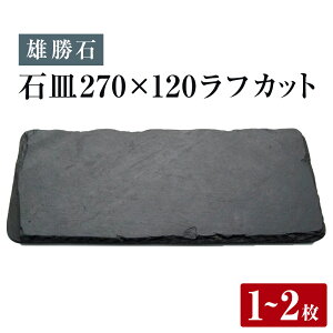 【ふるさと納税】【雄勝石】 石皿 270×120 ラフカット 選べる 1枚 / 2枚 天然 硯石 伊達氏 歴史 モダン 石巻 宮城 皿 食器