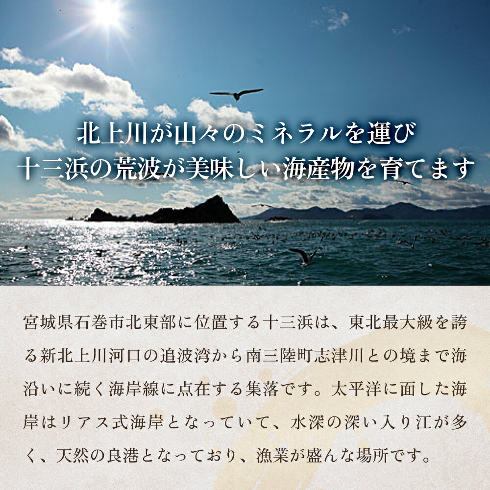 【ふるさと納税】十三浜 浜だより 海藻 6種7品 塩蔵わかめ 早煮こんぶ とろろ昆布 ひじき 焼岩のり ふのり わかめ こんぶ 海苔