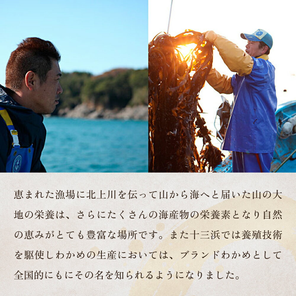 ウニ 雲丹味噌 がぜみそ 80g ×3本 計240g ガゼミソ 瓶 うに 雲丹 ムラサキウニ 味噌 みそ ご飯のお供 酒の肴 おつまみ おかず 海鮮 グルメ ギフト 贈り物 お取り寄せ 冷凍 保存食 郷土料理 送料無料 九州 福岡