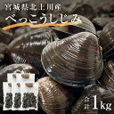 【ふるさと納税】しじみ 北上川のべっこうしじみ 1kg（200g×5） 冷凍 小分け しじみ汁 味噌汁 宮城県 石巻市