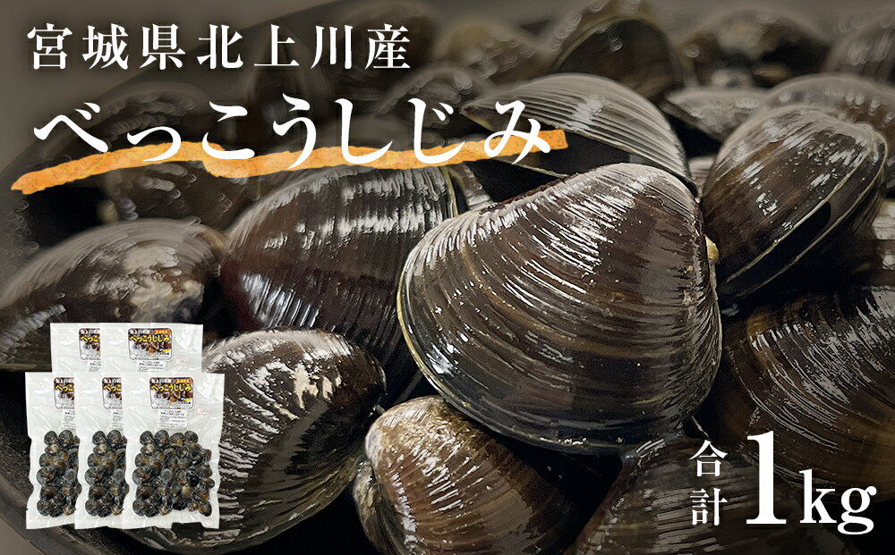 【ふるさと納税】しじみ 北上川のべっこうしじみ 1kg（200g×5） 冷凍 小分け しじみ汁 味噌汁 宮城県 石巻市