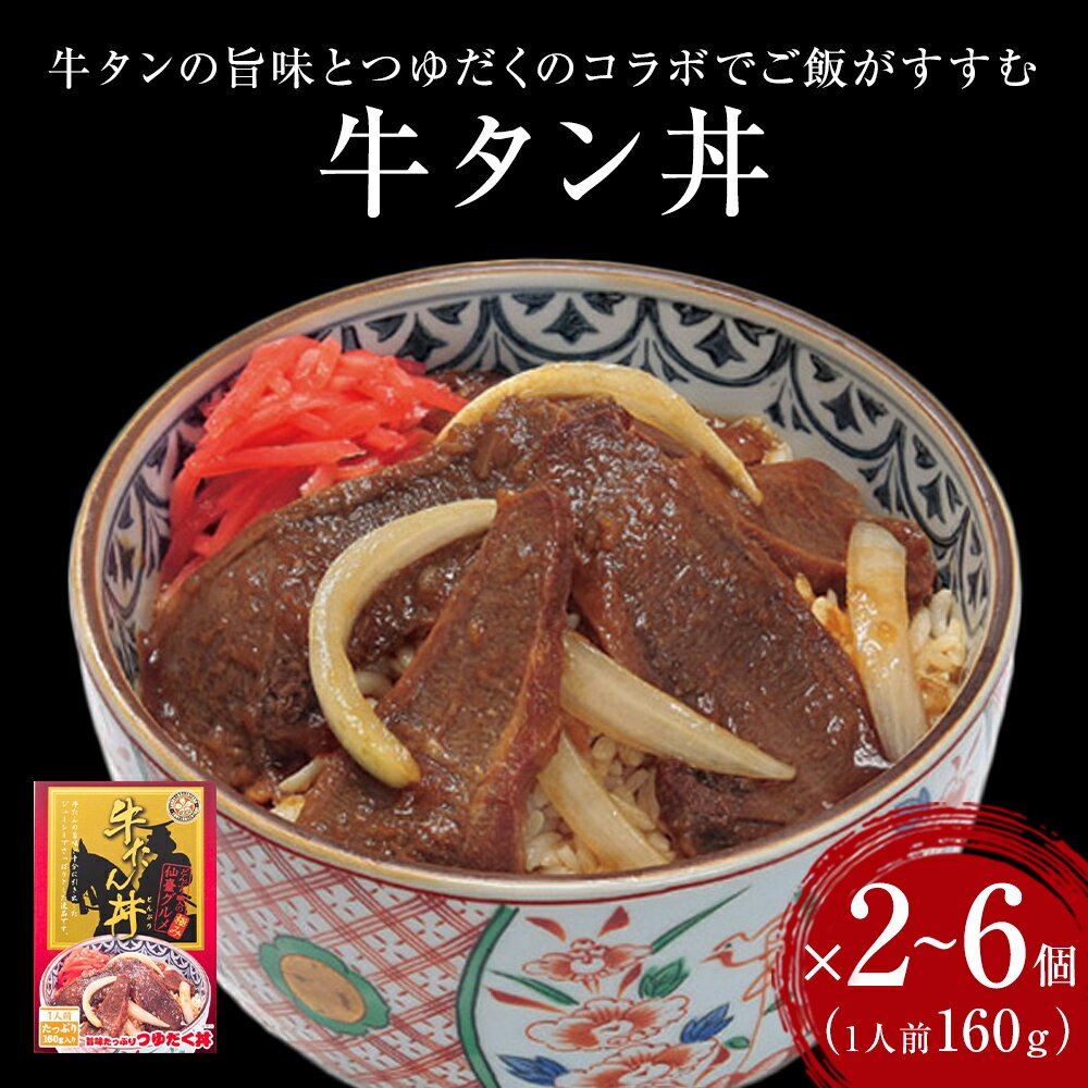 【ふるさと納税】牛タン丼2～6個 常温 レトルト 丼の素 宮