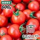 【ふるさと納税】甘くておいしい！まきいしトマト