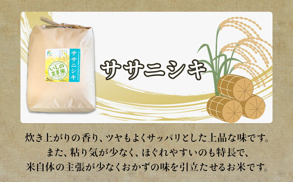 【ふるさと納税】＜定期便3回・毎月発送＞ 宮城県 いしのまき産米 精米 15kg 5kg×3回 ササニシキ ひとめぼれ 品種が選べる 石巻市