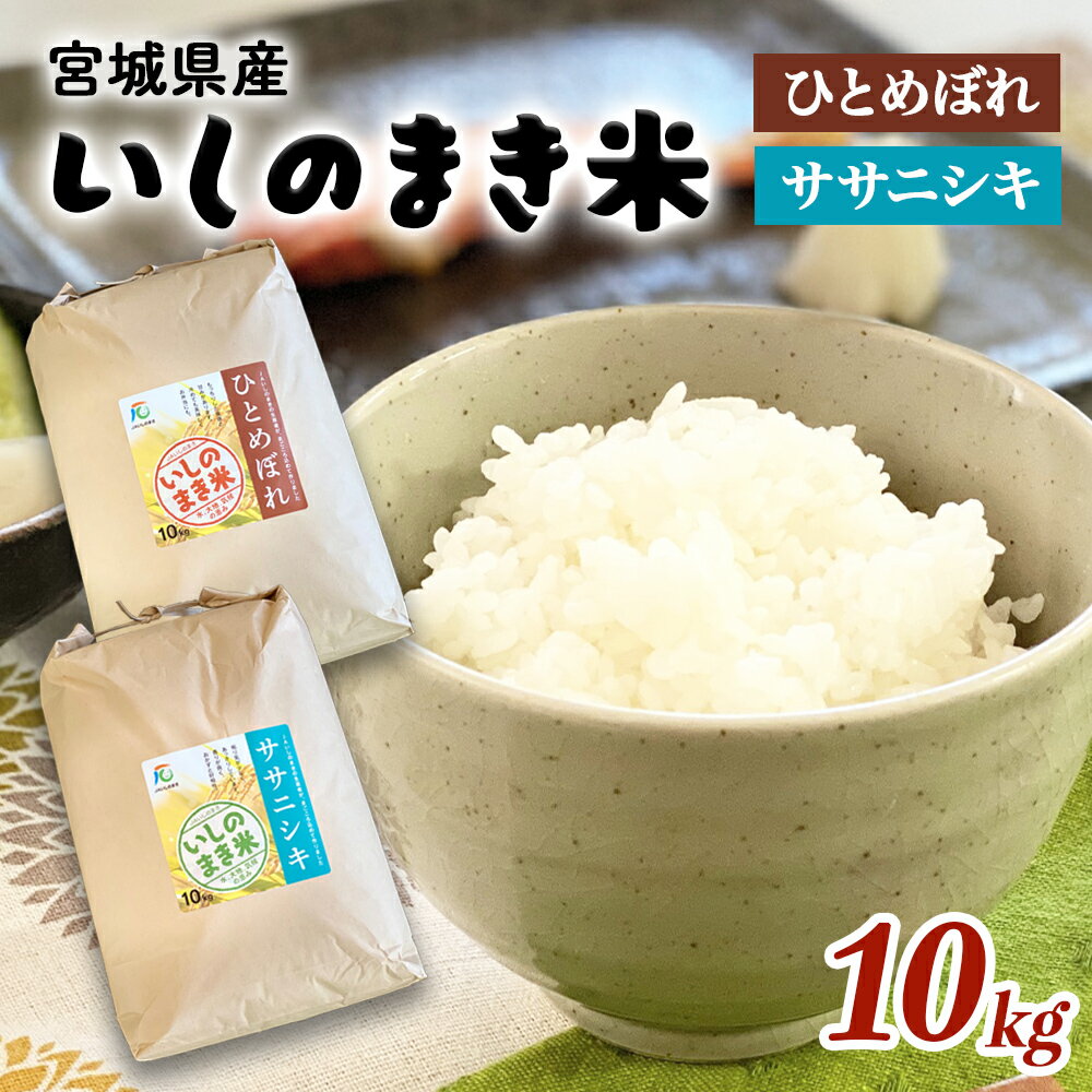 宮城産 ひとめぼれ 【ふるさと納税】 宮城県産 令和5年産 ササニシキ / ひとめぼれ 精米 10kg 品種が選べる 石巻市 いしのまき米 白米 お米 ごはん 米10キロ JA 農協