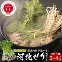 【ふるさと納税】<配送月が選べる> せり鍋セット せり5束 3-4人前 河北せり 鍋 せり 鍋セット 宮城県産 セリ鍋 芹 根せり 根っこ 宮城県 石巻市 長ねぎ パックご飯 スープ 鶏肉 セリ セリ鍋 野菜 鍋 しゃぶしゃぶ お取り寄せ グルメ 人気 ご当地鍋