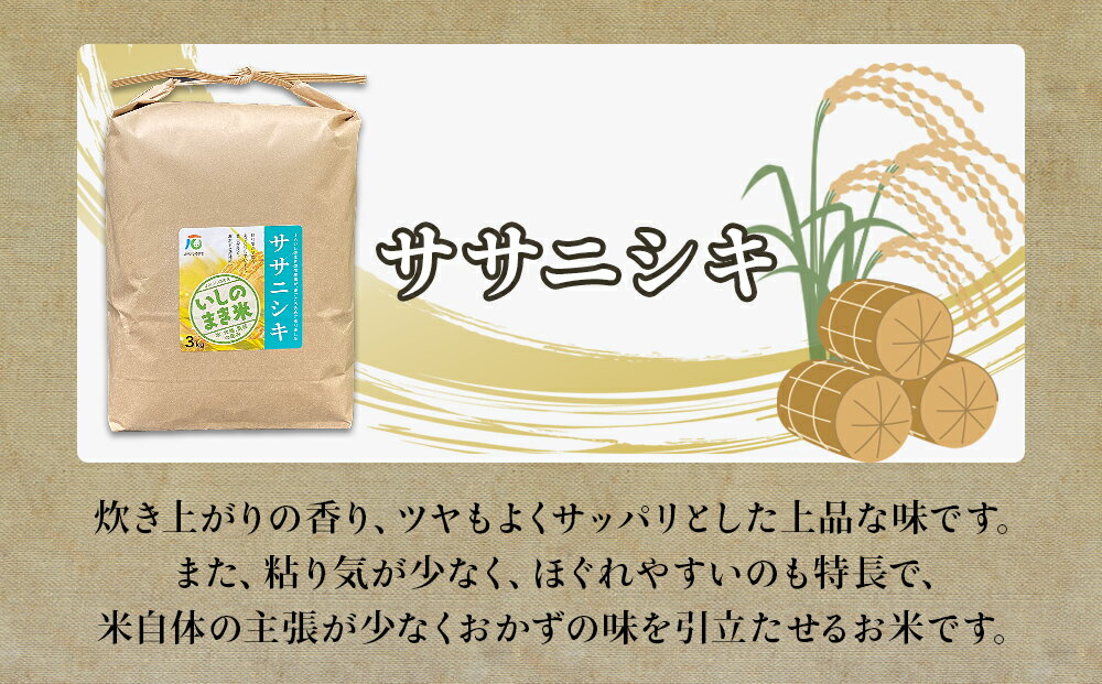 【ふるさと納税】＜定期便3回・毎月発送＞ 令和5年 品種が選べる ササニシキ or ひとめぼれ いしのまき産米 精米 9kg 3kg×3回