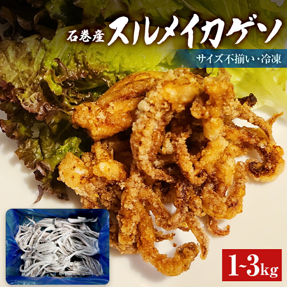 石巻市産スルメイカゲソ1-3kg 冷凍 国産 スルメイカ いか 下足 イカ イカゲソ おつまみ 魚介類 焼イカ バーベキュー BBQ 烏賊 炒め物 フライ ゲソ天 唐揚げ