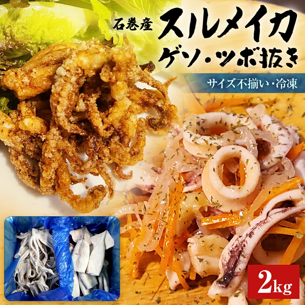 石巻市産スルメイカ2kg 冷凍 国産 スルメイカゲソ1kg スルメイカ ツボ抜き1kg