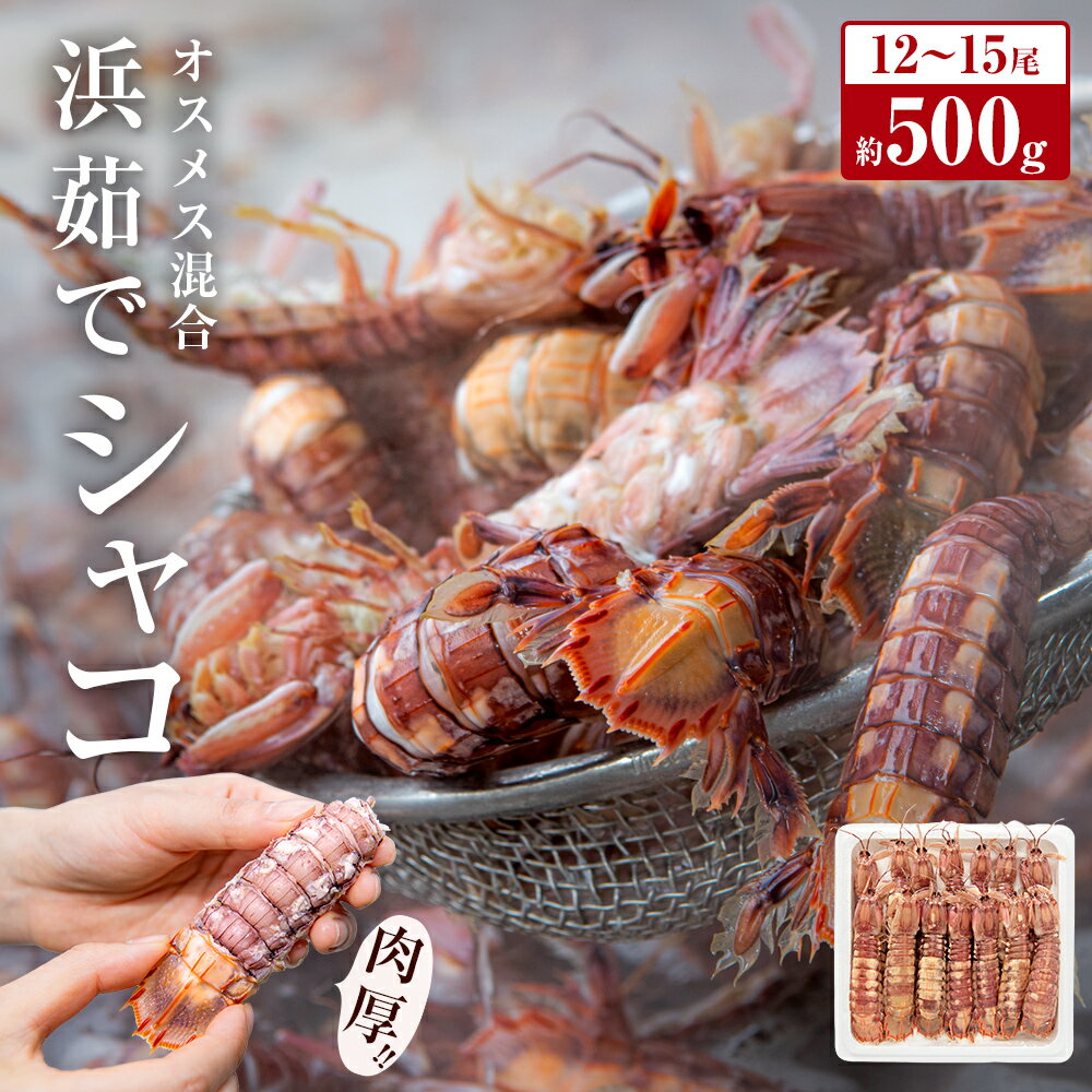 【ふるさと納税】季節限定 宮城県産 浜茹で シャコエビ 500g（オスメス混合）冷蔵 産地直送 殻付き 子...